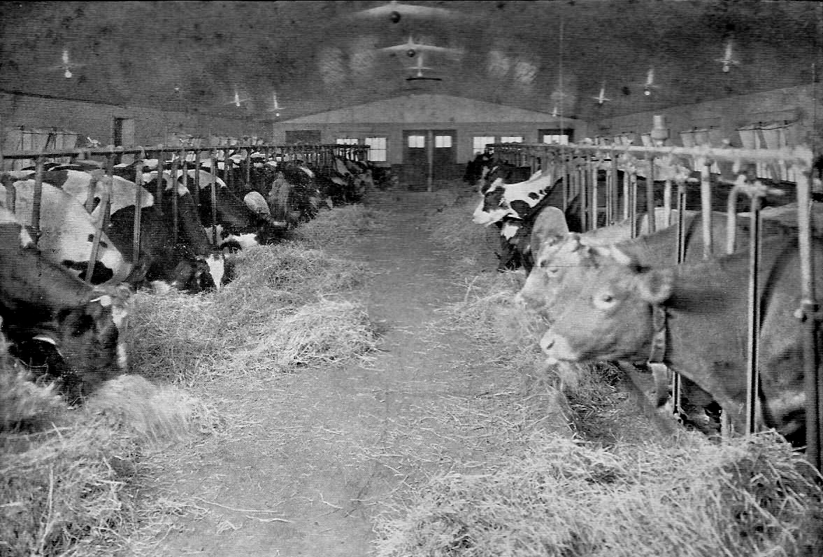 274 Lowell St Andover Historic Preservation